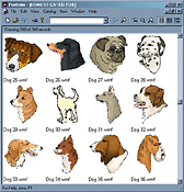 browser1_sm