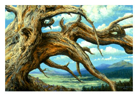 fine_art