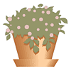 Clipart14