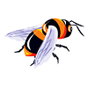 Clipart6