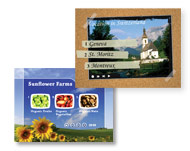 DVD Menu