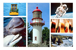 Sample Photos