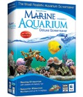 Marine Aquarium